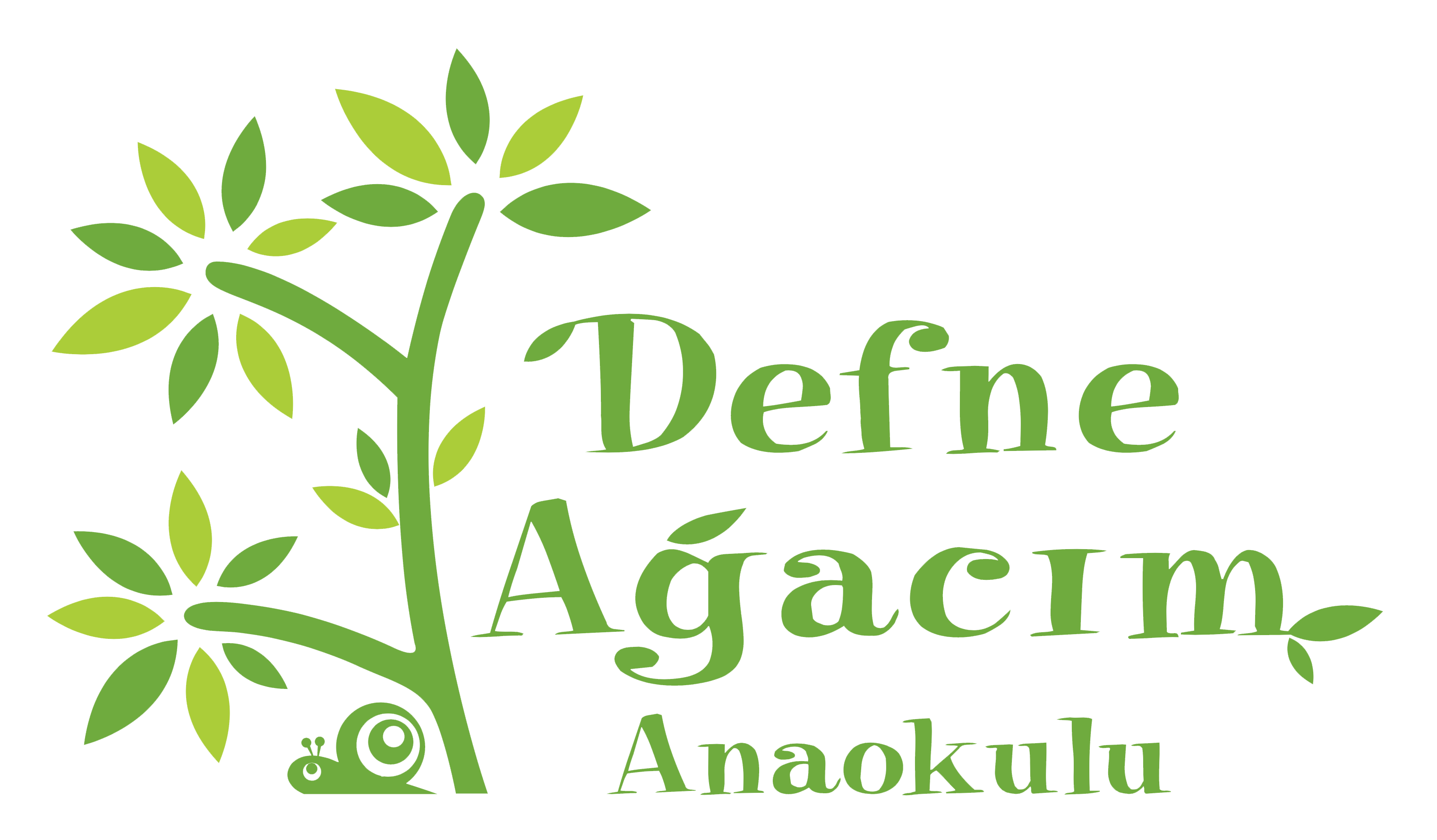 Defne Ağacım Anaokulu